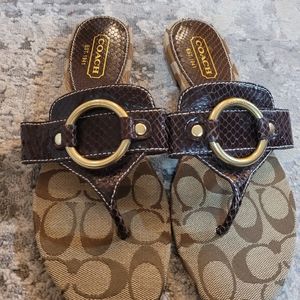 Coach Ritah thong flip flops brown snake skin